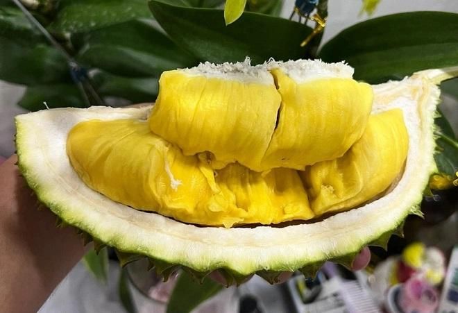 Sầu riêng Musang King trồng ở Việt Nam giá gần một triệu đồng mỗi kg